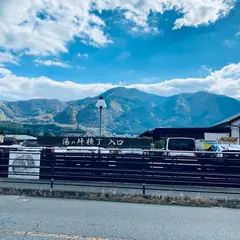 タイムパーク湯の坪