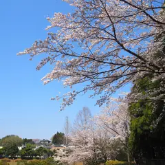 白銀公園