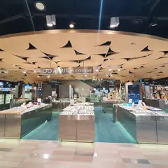 Africa optical