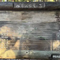 西丹沢県民の森