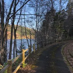 湖畔の森遊歩道