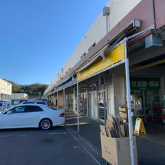湘南藤沢地方卸売市場