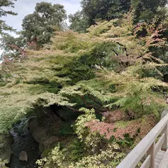 徳川園 駐車場