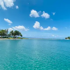 Hideaway Island Dive Shop