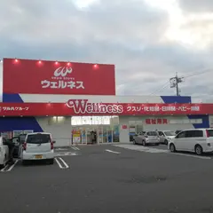ウェルネス 旗ヶ崎店
