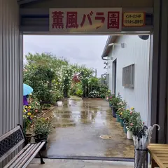 薫風バラ園
