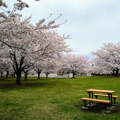 新井田公園