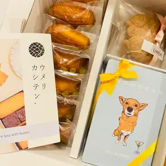 ウメリカシテン.