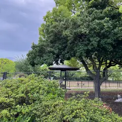 国営昭和記念公園ドッグラン