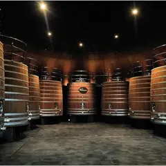 Bodegas Vivanco S.L.