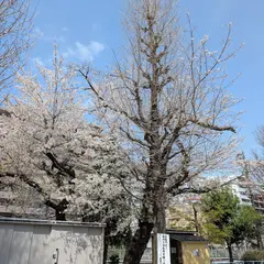江戸橋公園