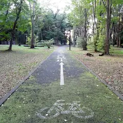 代々木公園サイクリングコース