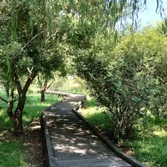 たんトピア エコパーク