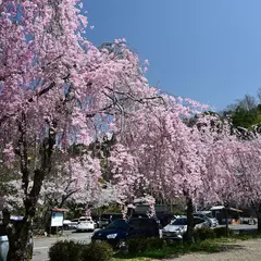城山公園