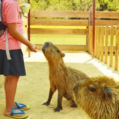 ネオパークオキナワ