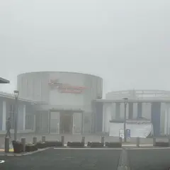 海の幸と山の幸 するが食堂