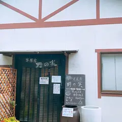 野の実