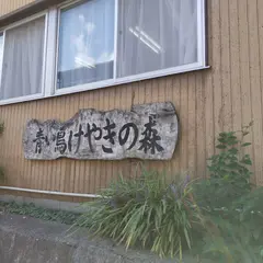 あおい鳥けやきの森