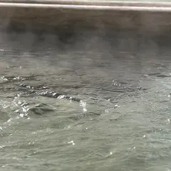 びわ湖花街道