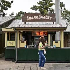 Shark Snacks