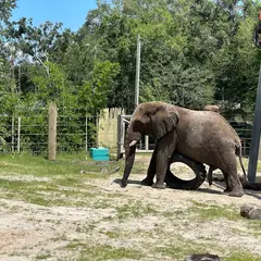 ロウリーパーク動物園