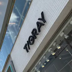 T/GRAY