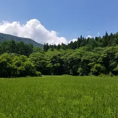 親海湿原