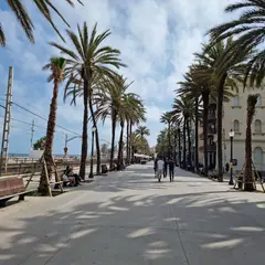 Escola del Mar