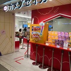 カメダセイカ