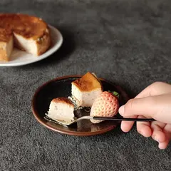 Ayashroomアヤシュルーム