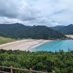 魚籃観音