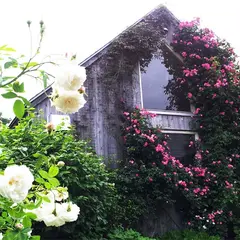 GARDEN SHED