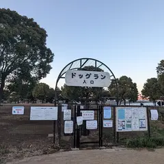 つばさドッグラン
