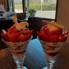 カフェ テトラ