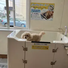 KiraraわんわんParadise