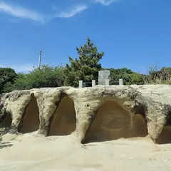 篠田悌二郎句碑（鵜原理想郷）