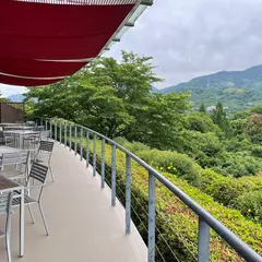 旬菜バイキング和音（道の駅 青洲の里）