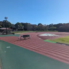 長嶋茂雄記念岩名球場