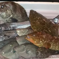 呑み処 穴蔵