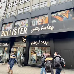 Hollister Co.