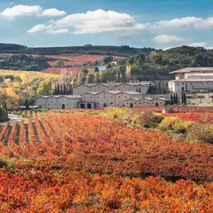 Bodega Marqués de Murrieta