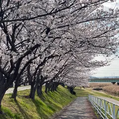 夢前川サイクリングロード