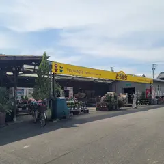 とうはち