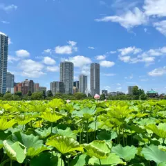 不忍池