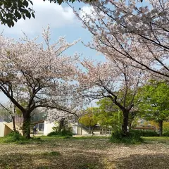 椀田公園