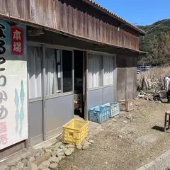 鳴門わかめ