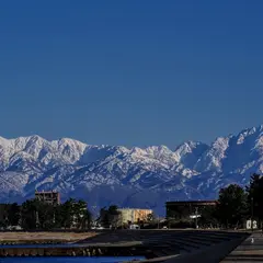 八重津浜緑地