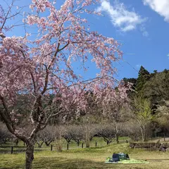 おちばの里親水公園