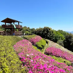 展望ツツジ園