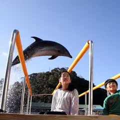 下田海中水族館